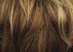 Gallery_per002037-17474