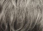 Gallery_per002646-17422