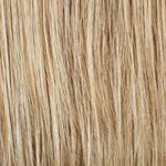 Gallery_HAI001275-55992