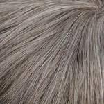 Gallery_Hai001584-67550