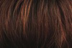 Gallery_per002610-18066