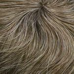 Gallery_Hai001586-68905