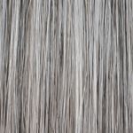 Gallery_51