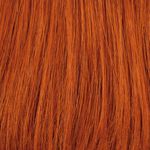 Gallery_23N