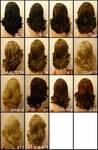 Gallery_000938-3950