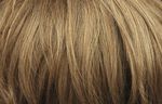 Gallery_002748-10690