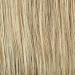 Gallery_HAI000348-25496