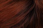 Gallery_per003587-27302