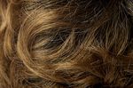 Gallery_per002639-17798