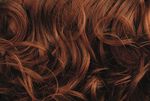 Gallery_per003241-11181