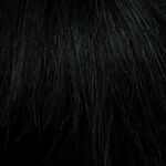 Gallery_Hai002091-40347