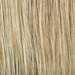 Gallery_HAI000310-16912