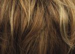 Gallery_per003242-10067