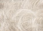 Gallery_per003545-17578