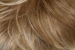 Gallery_per003663-27144