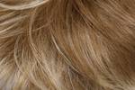 Gallery_per003653-27249