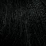 Gallery_HAI000201-36866