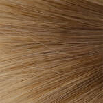 Gallery_artic-blonde